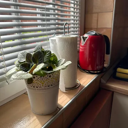 Garsonjera Zvezdara * Βελιγράδι