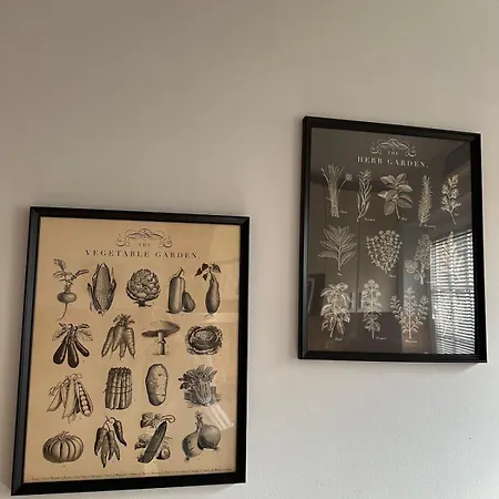 Garsonjera Zvezdara Apartman Belgrade